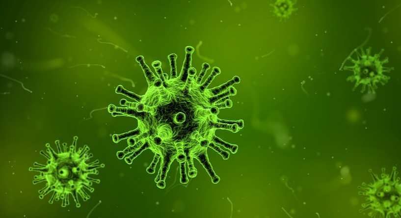 Almost 1500 new viruses identified